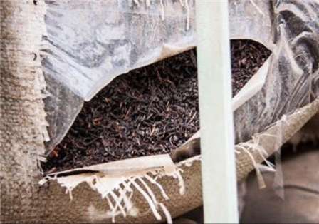 شش تن چای قاچاق در اروندرود کشف شد