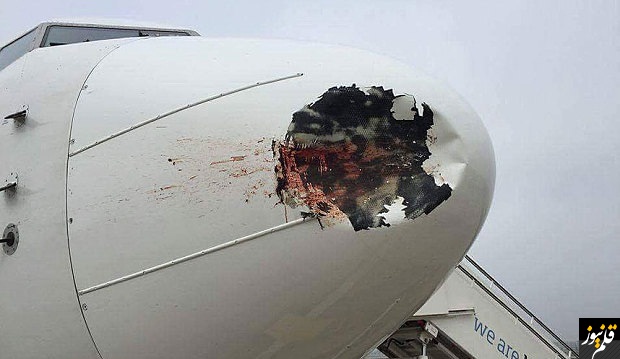 آسیب شدید هواپیما در برخورد با یک پرنده!!+عکس