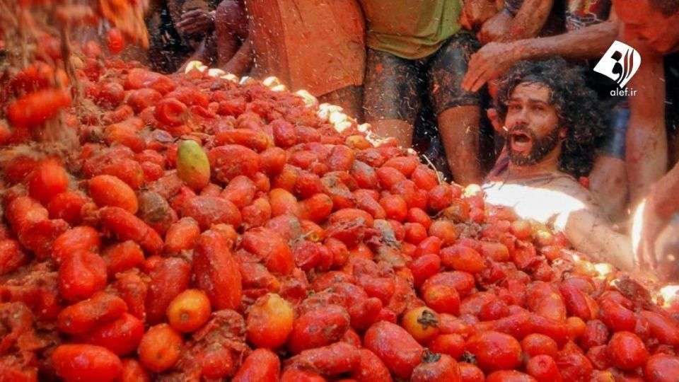 جشنواره گوجه در اسپانیا