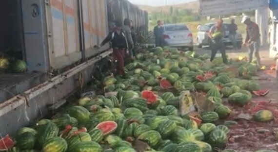 معنای امحای ۷ هزار تن هندوانه صادراتی به ترکیه چیست