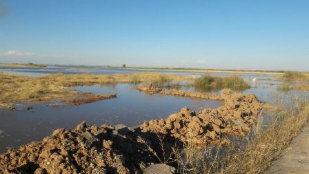 34 روستای شوشتر در محاصره سیل/ راه ارتباطی شعیبیه به اهواز بسته شد