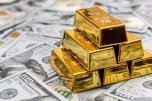 قیمت طلا، قیمت دلار، قیمت سکه و قیمت ارز ۱۱ آذر