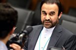کشورها برای عدم حمایت از قطعنامه ایران در آژانس تحت فشار سیاسی قرار گرفته‌اند