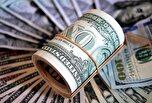 نوسان قیمت دلار و نگرانی کارشناسان از افت قدرت خرید مردم